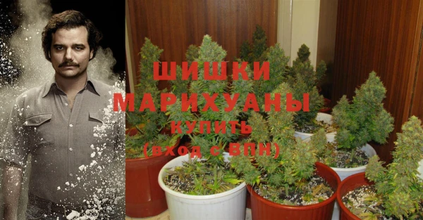трава Аркадак