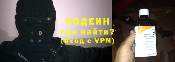 хмурый Алзамай
