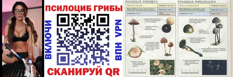 Псилоцибиновые грибы Magic Shrooms  купить наркотики цена  Сим 